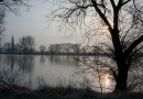 Die Mosel